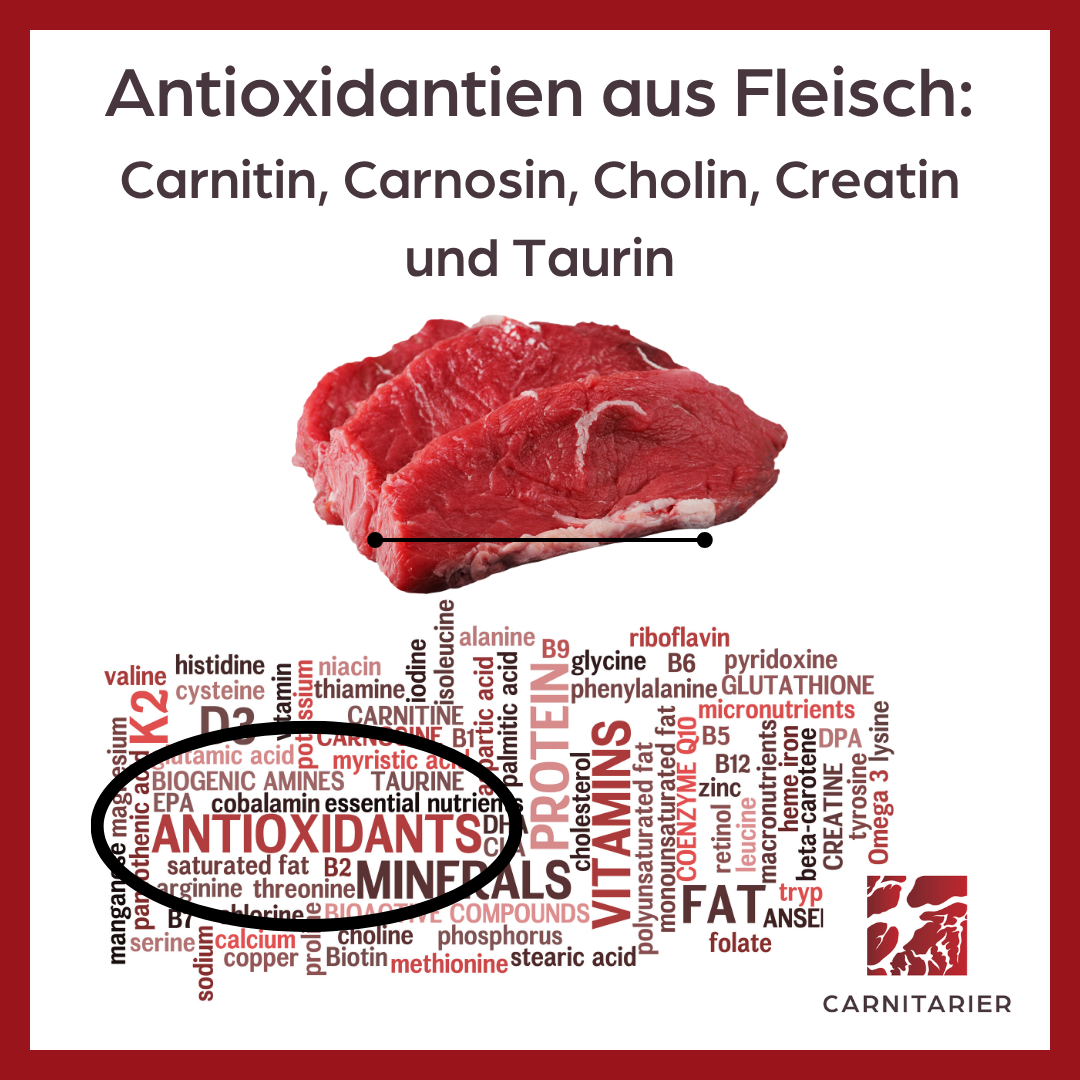 Antioxidantien im Fleisch
