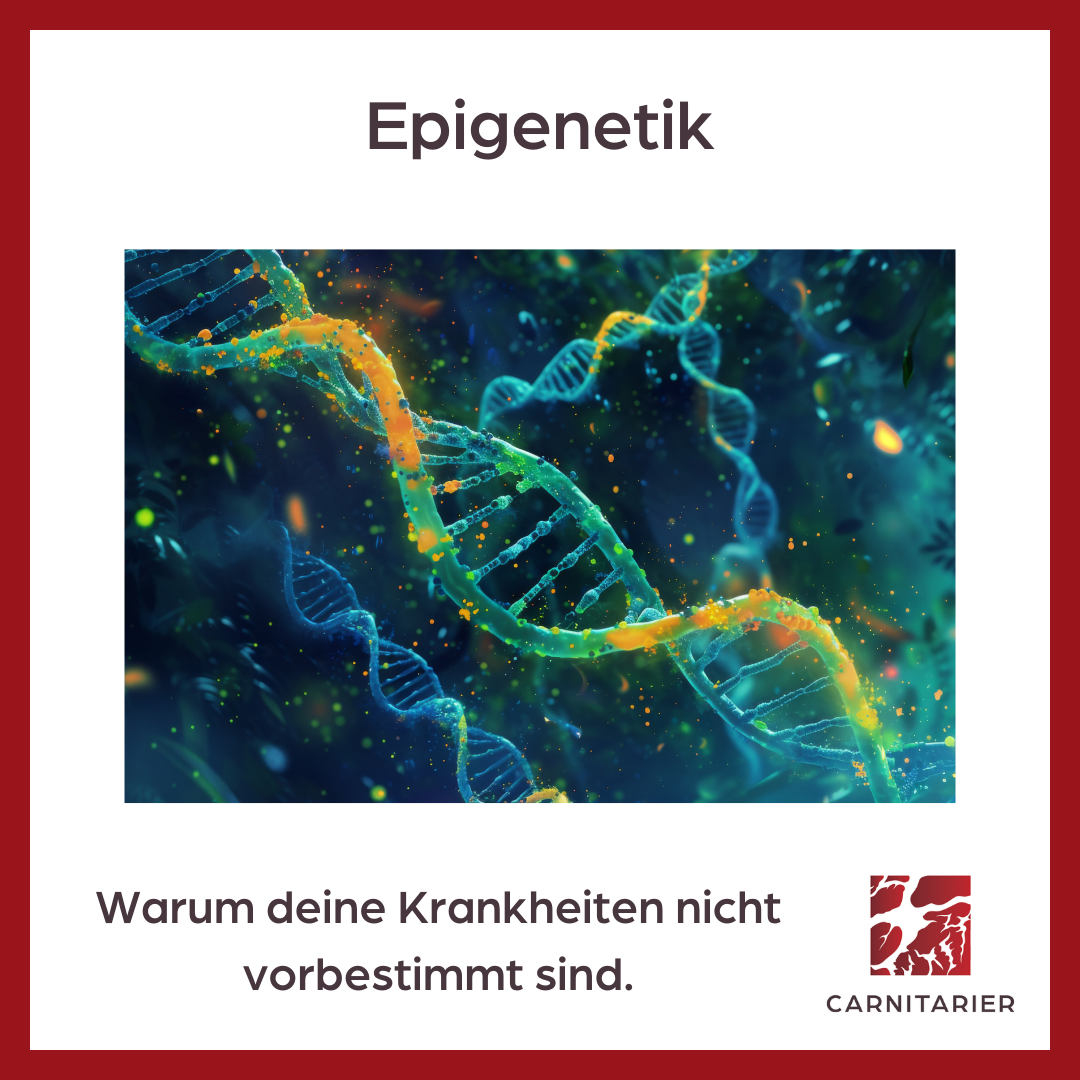 Epigenetik Krankheiten