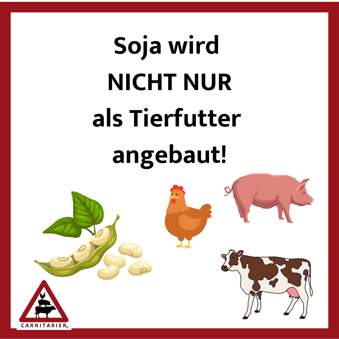 Soja wird nicht nur als Tierfutter angebaut!