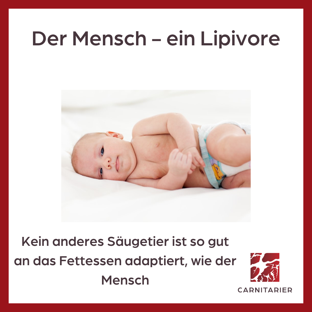 Der Mensch - ein Lipivore