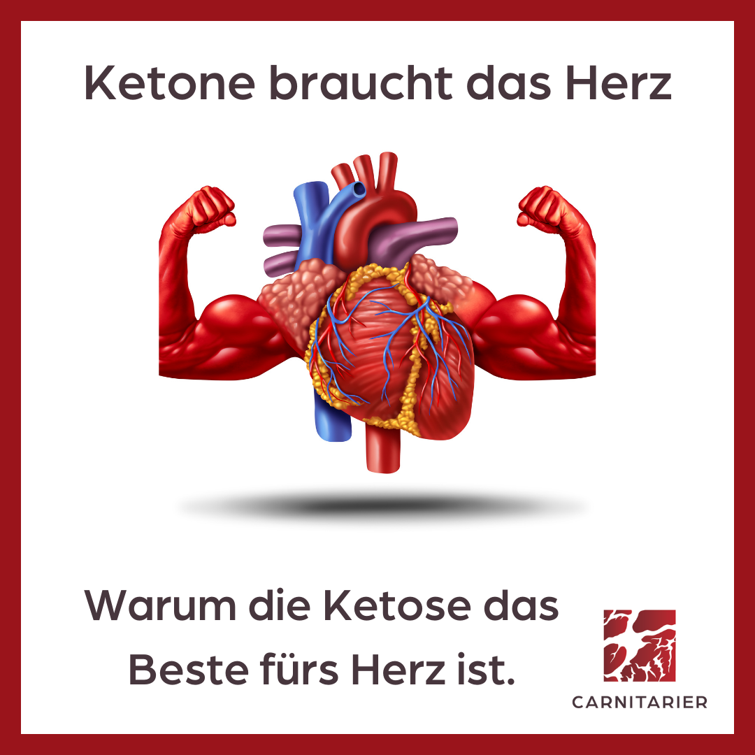 Ketone braucht das Herz. Ein Herz, aus dem muskulöse Arme links und rechts ausgehen