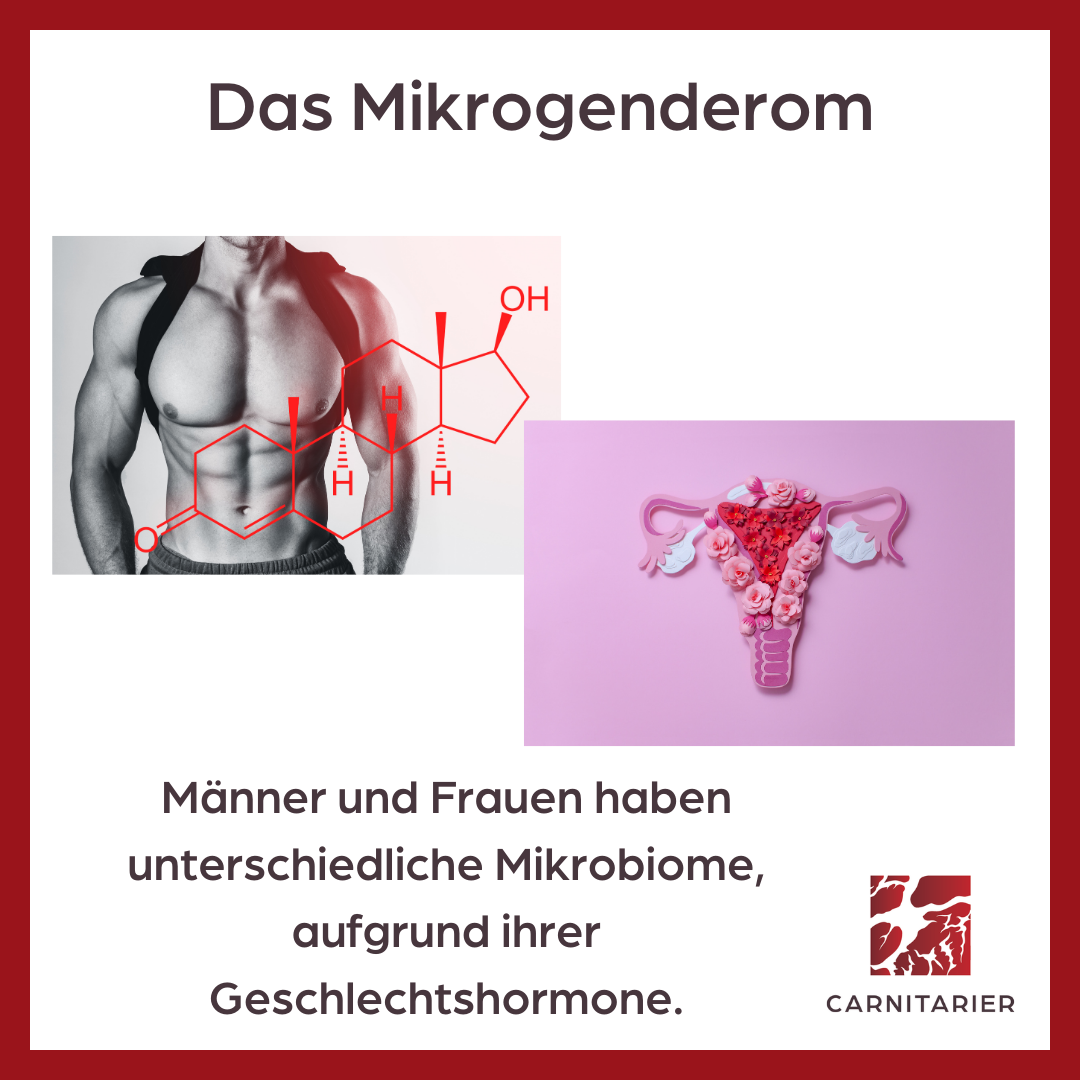 Das Mikrogenderom