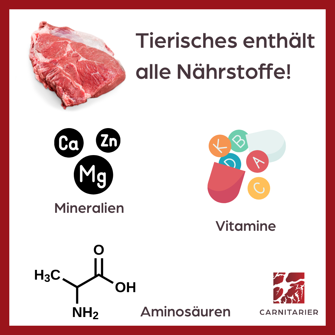 Nährstoffmangel durch Carnivore