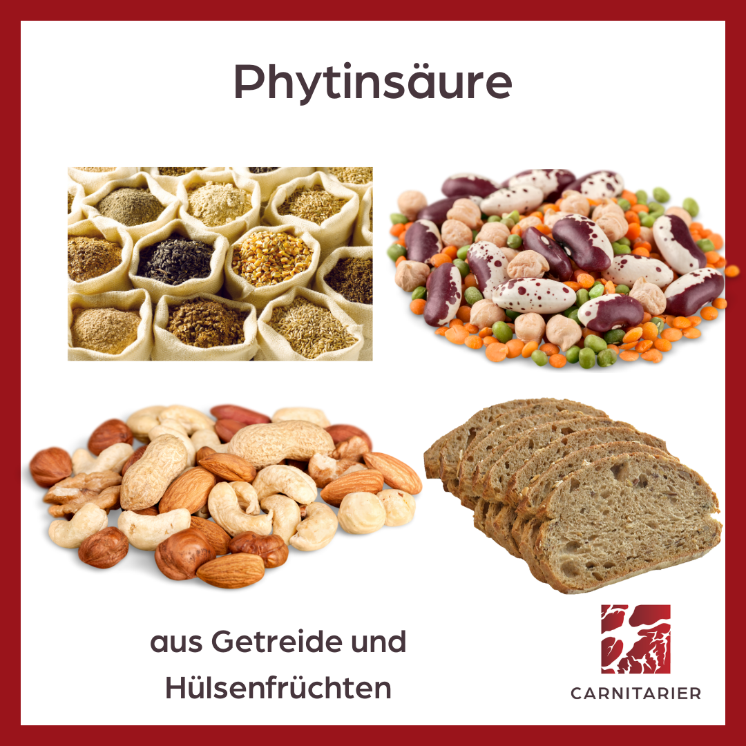 Brot, Nüsse, Bohnen, Hülsenfrüchte enthalten Phytinsäure