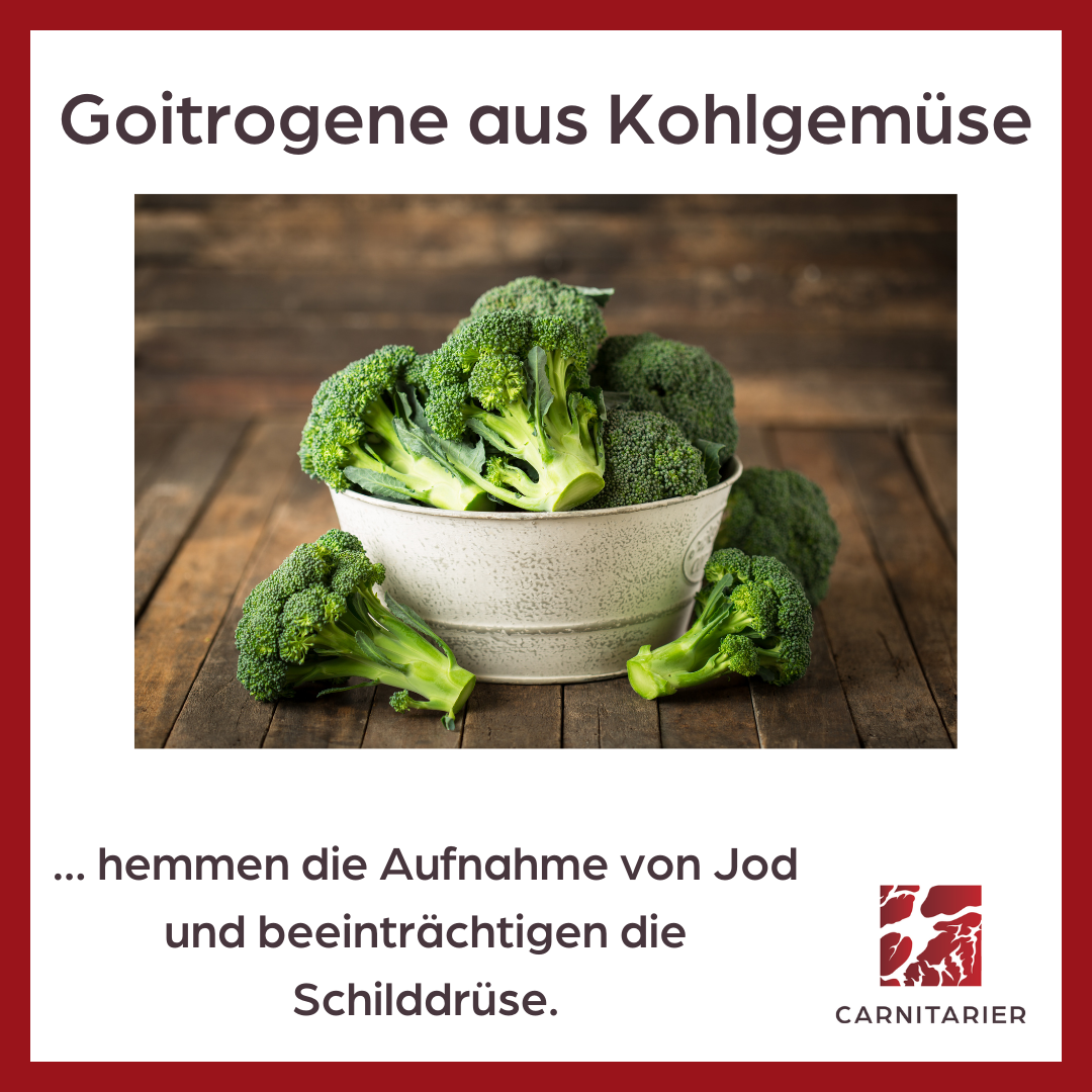 Brokkoli im Topf - Goitrogene