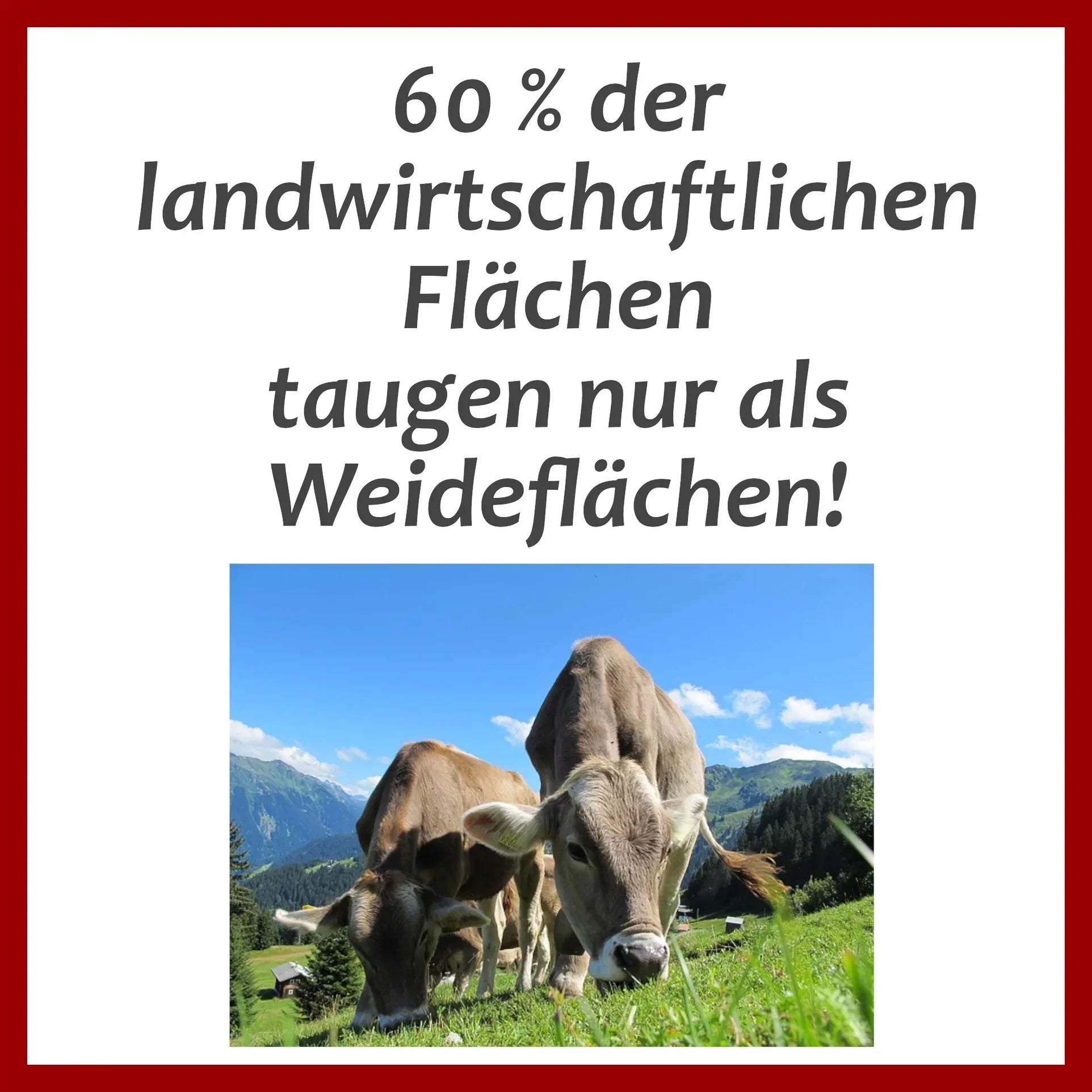 60 % der landwirtschaftlichen Flächen taugen nur als Weideflächen!