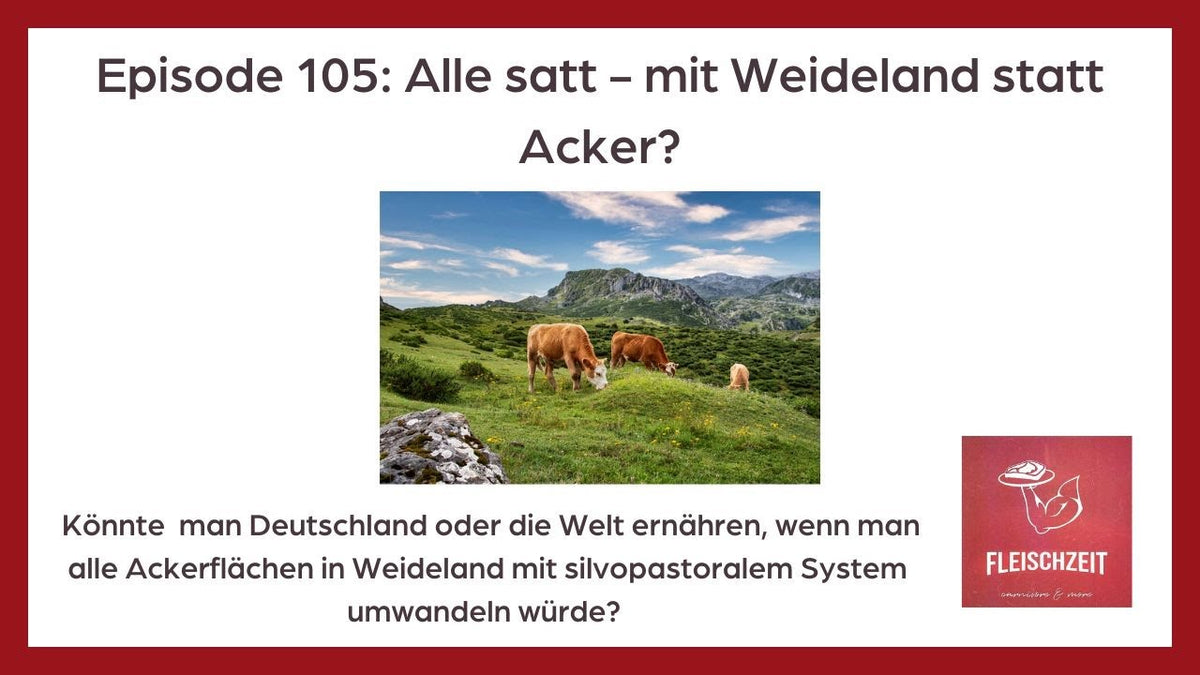 Kühe grasen auf der Alm