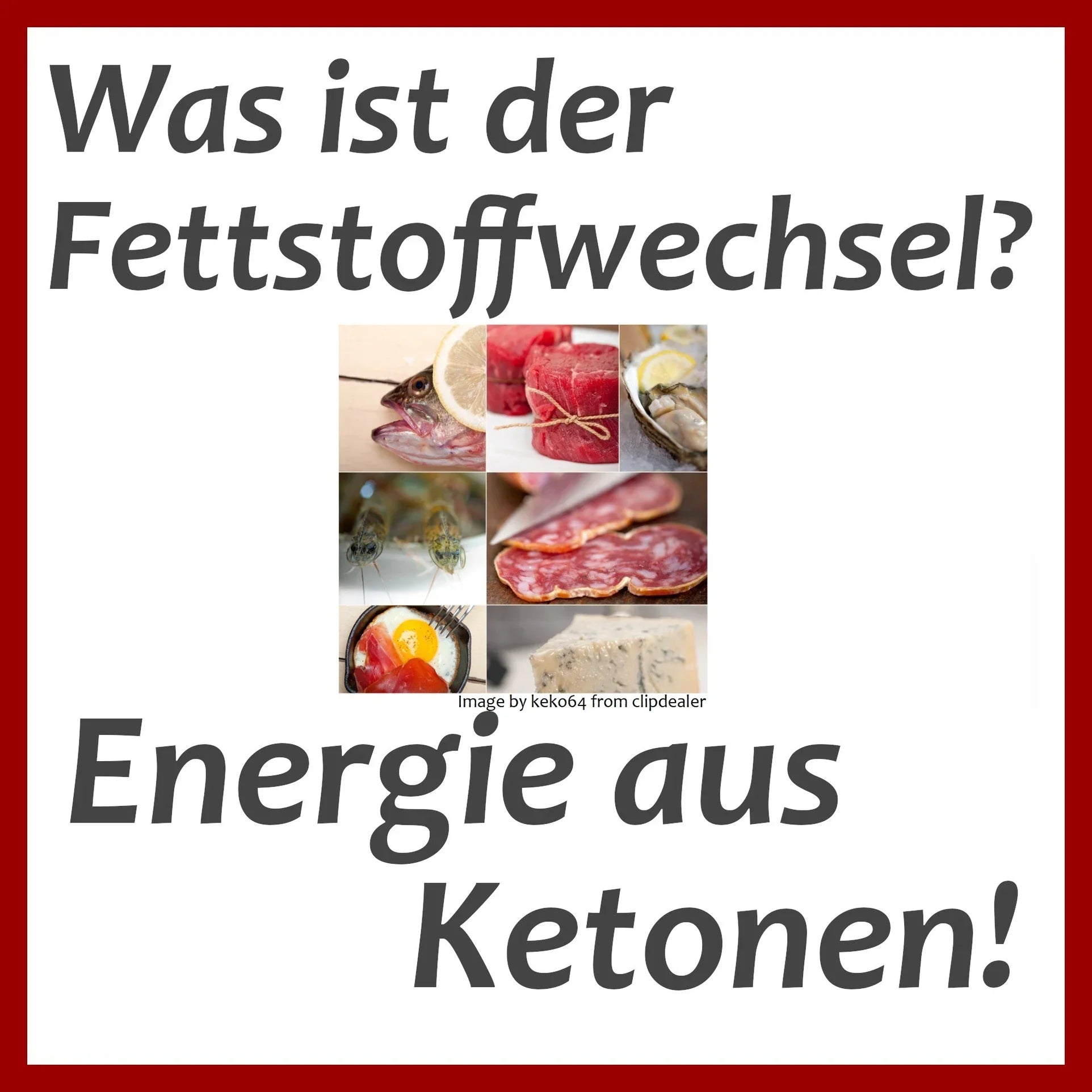 Was ist der Fettstoffwechsel?