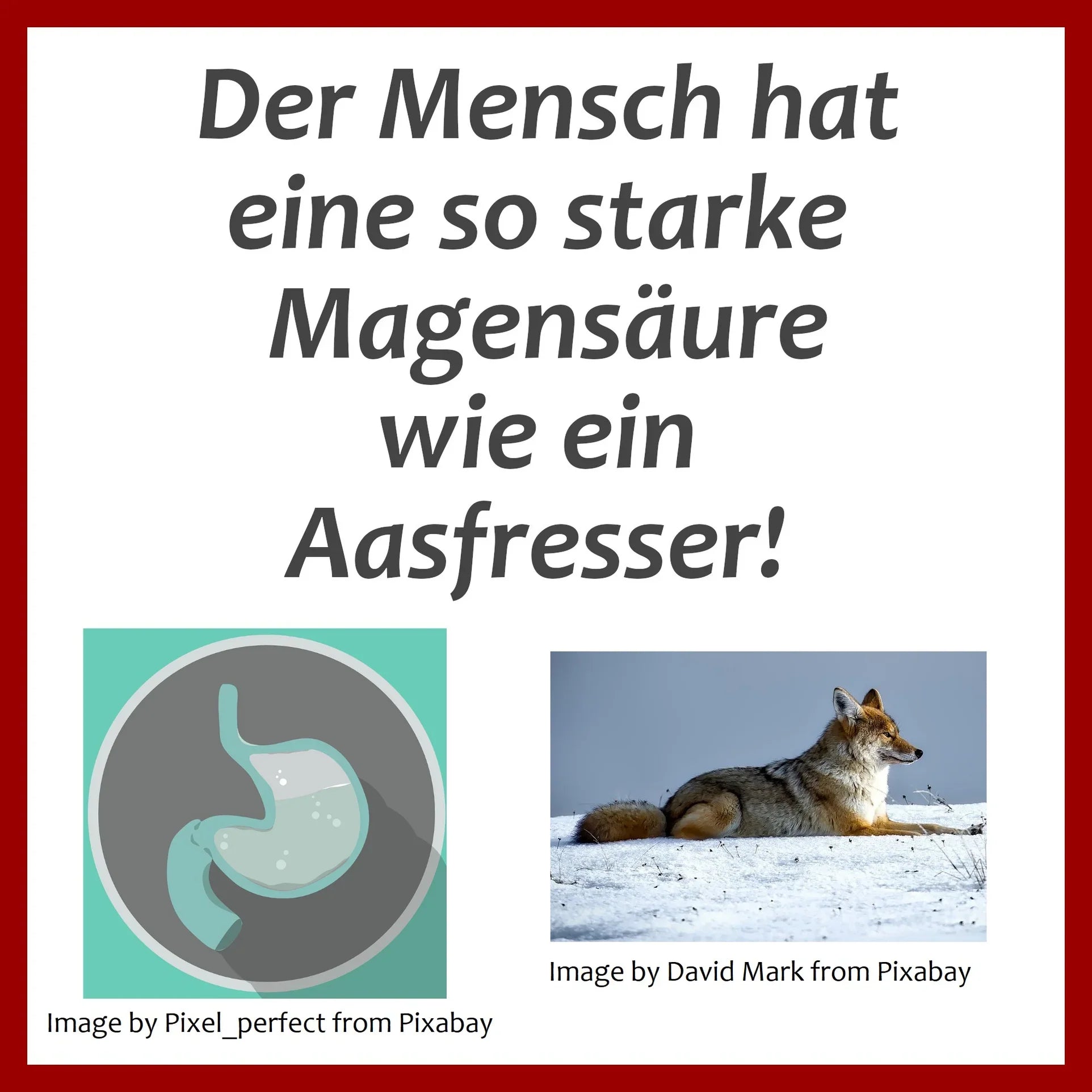 Magensäure des Menschen!