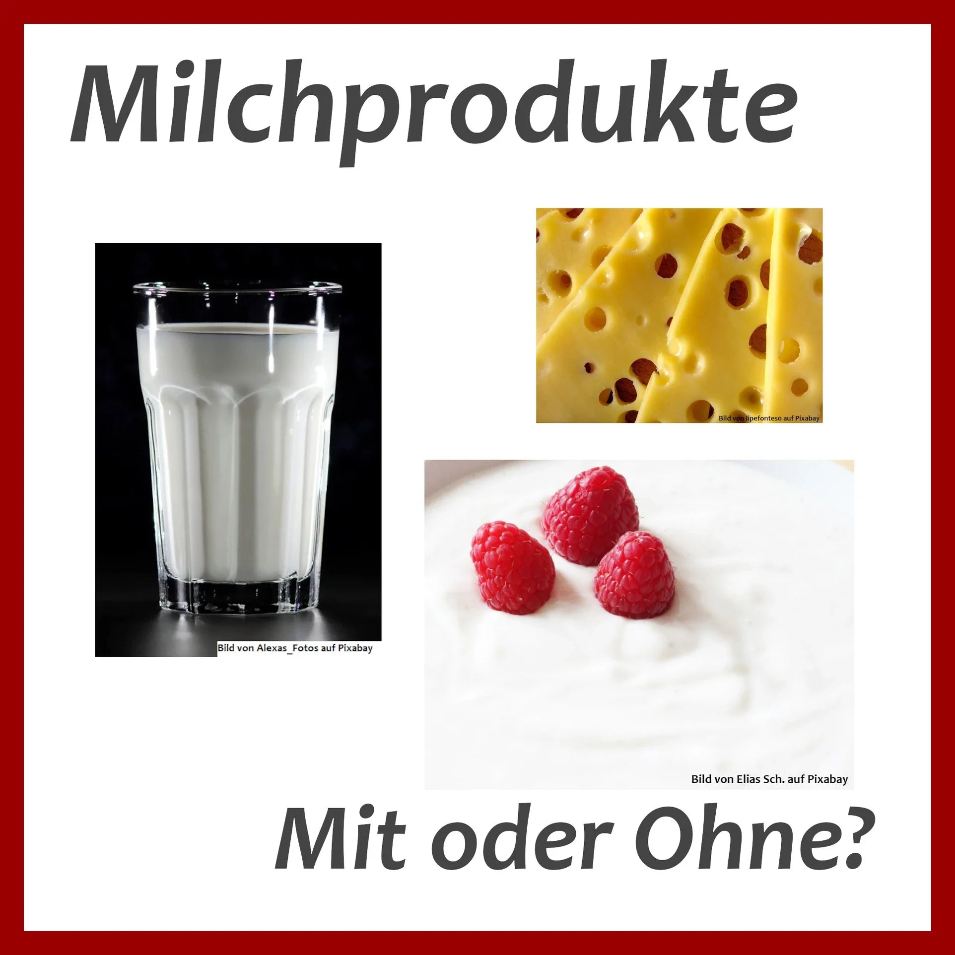 Milchprodukte - Mit oder ohne?