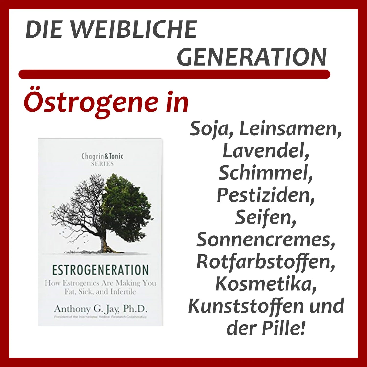 Östrogenbildung
