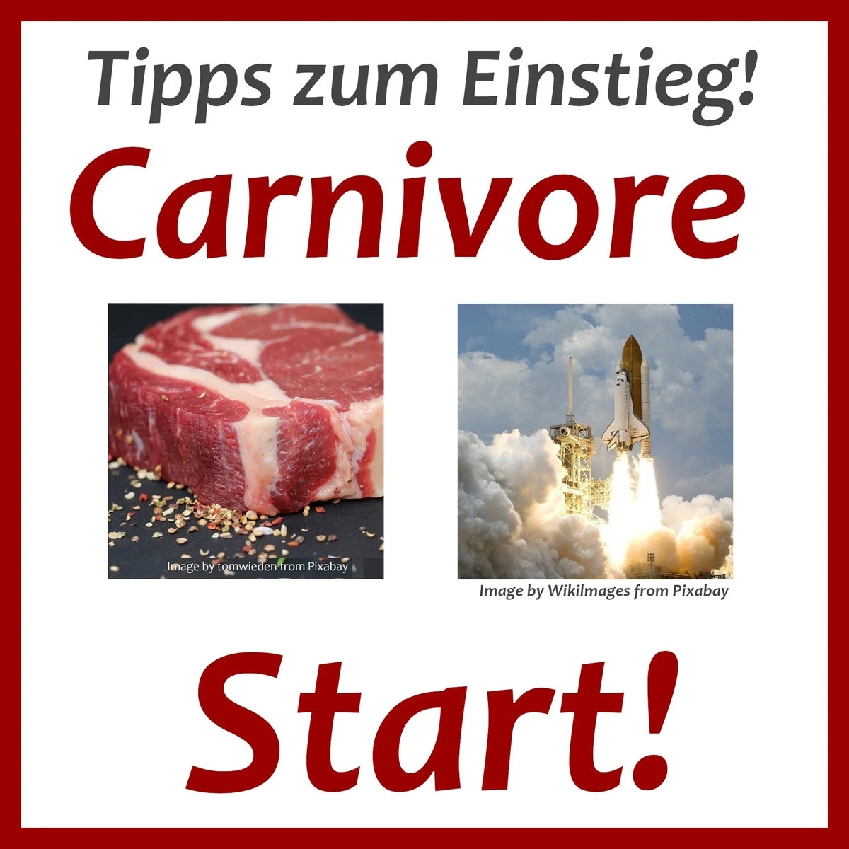 Steak, Rakete, Tipps zum Einstieg bei Carnivore!