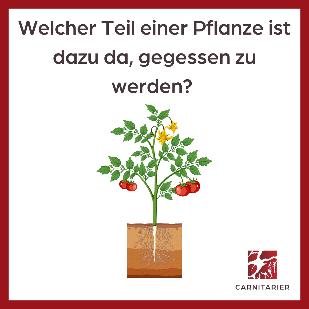 Welcher Teil einer Pflanze ist dazu da, gegessen zu werden?