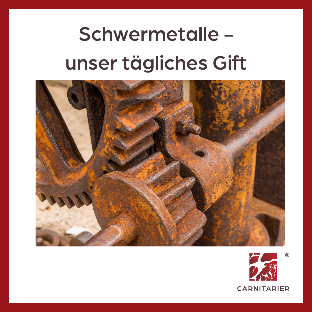 Schwermetalle - unser tägliches Gift