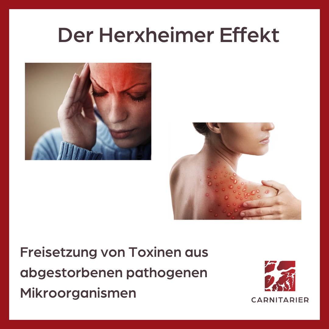 Herxheimer Effekt