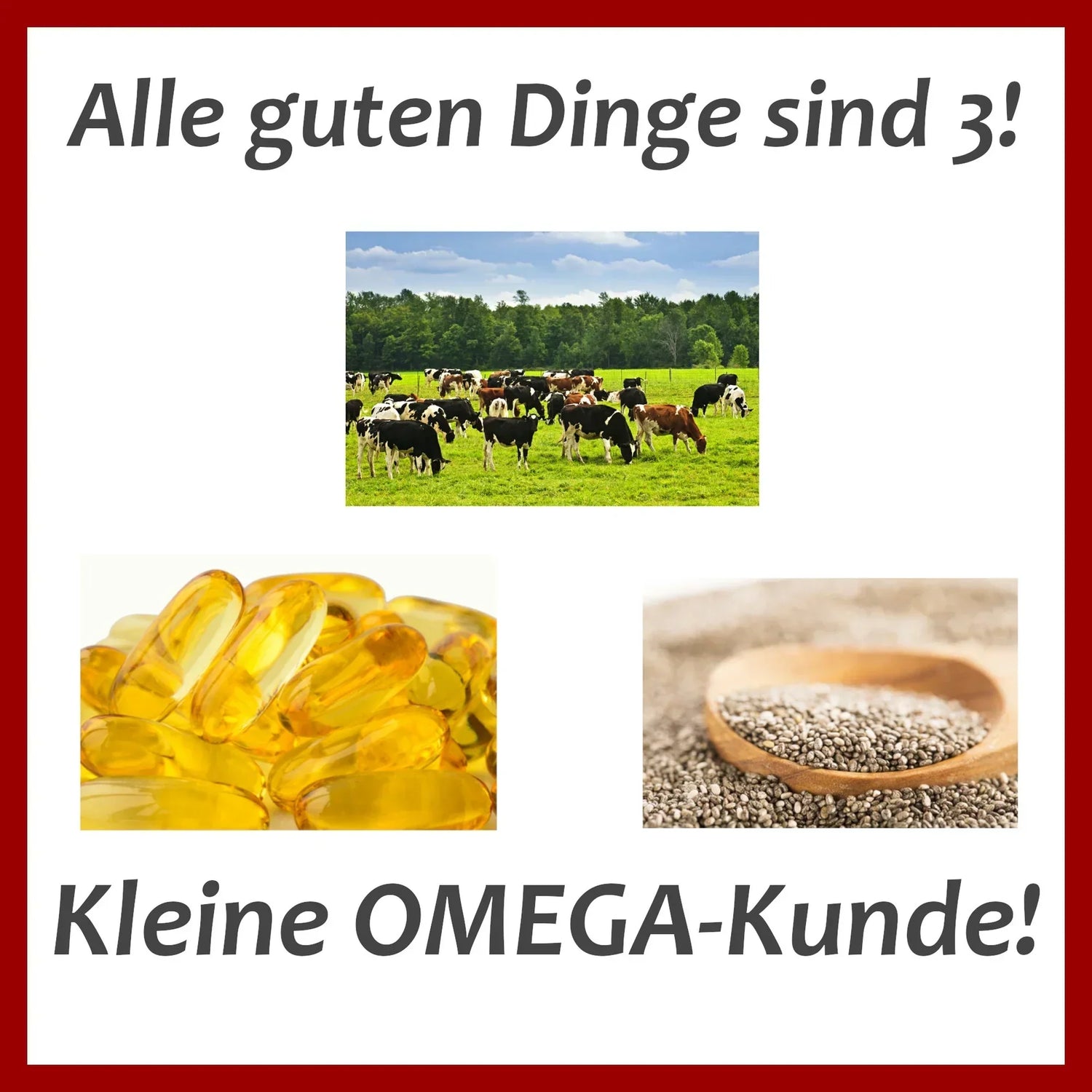 Was man zum Omega 6:3-Verhältnis wissen muss.