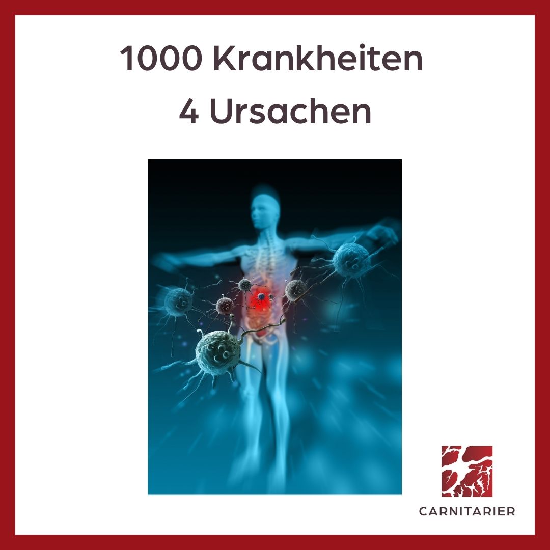 1000 Krankheit - 4 Ursachen