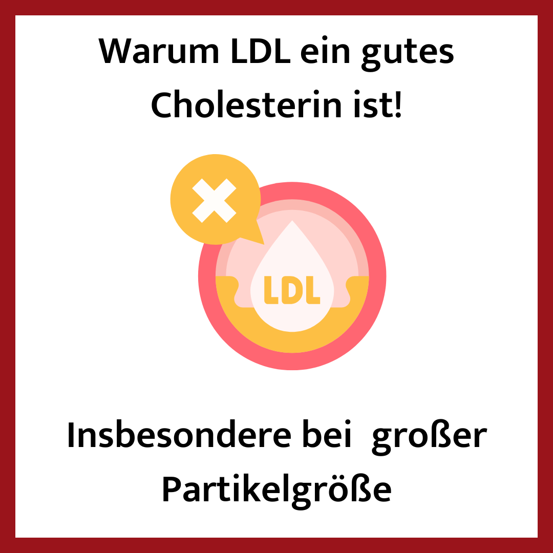 Warum LDL ein gutes Cholesterin ist!