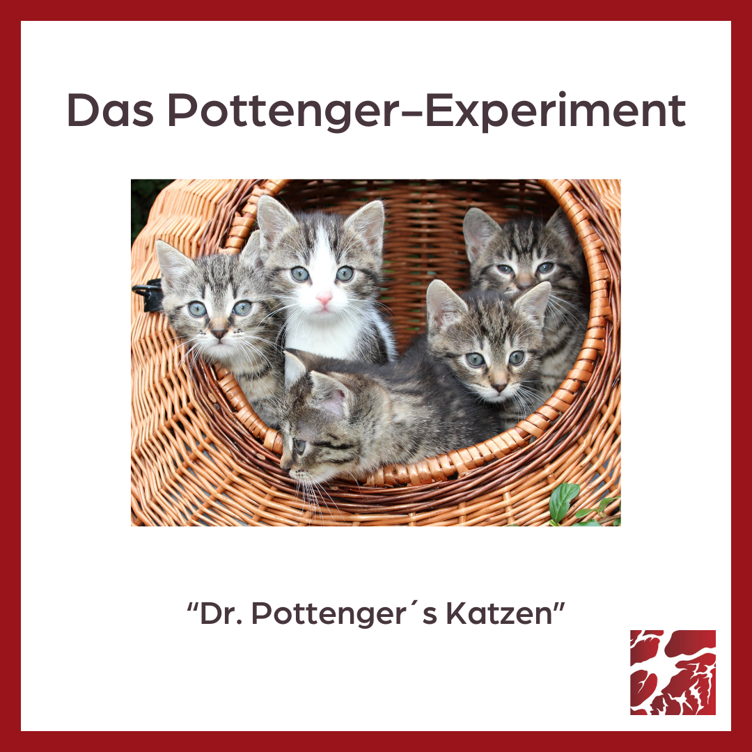 Pottenger - Experiment