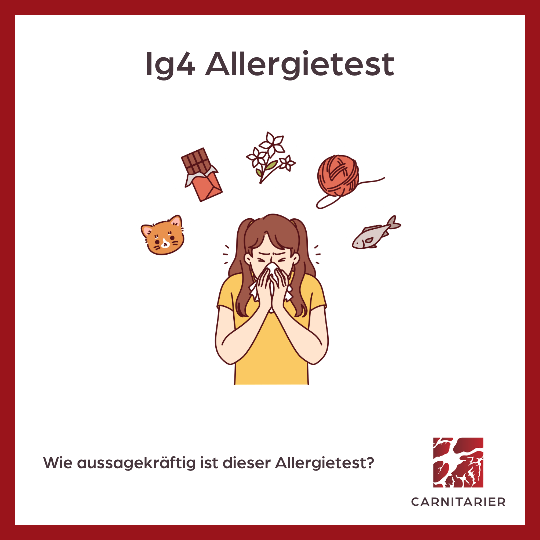 Ig4 Allergietest