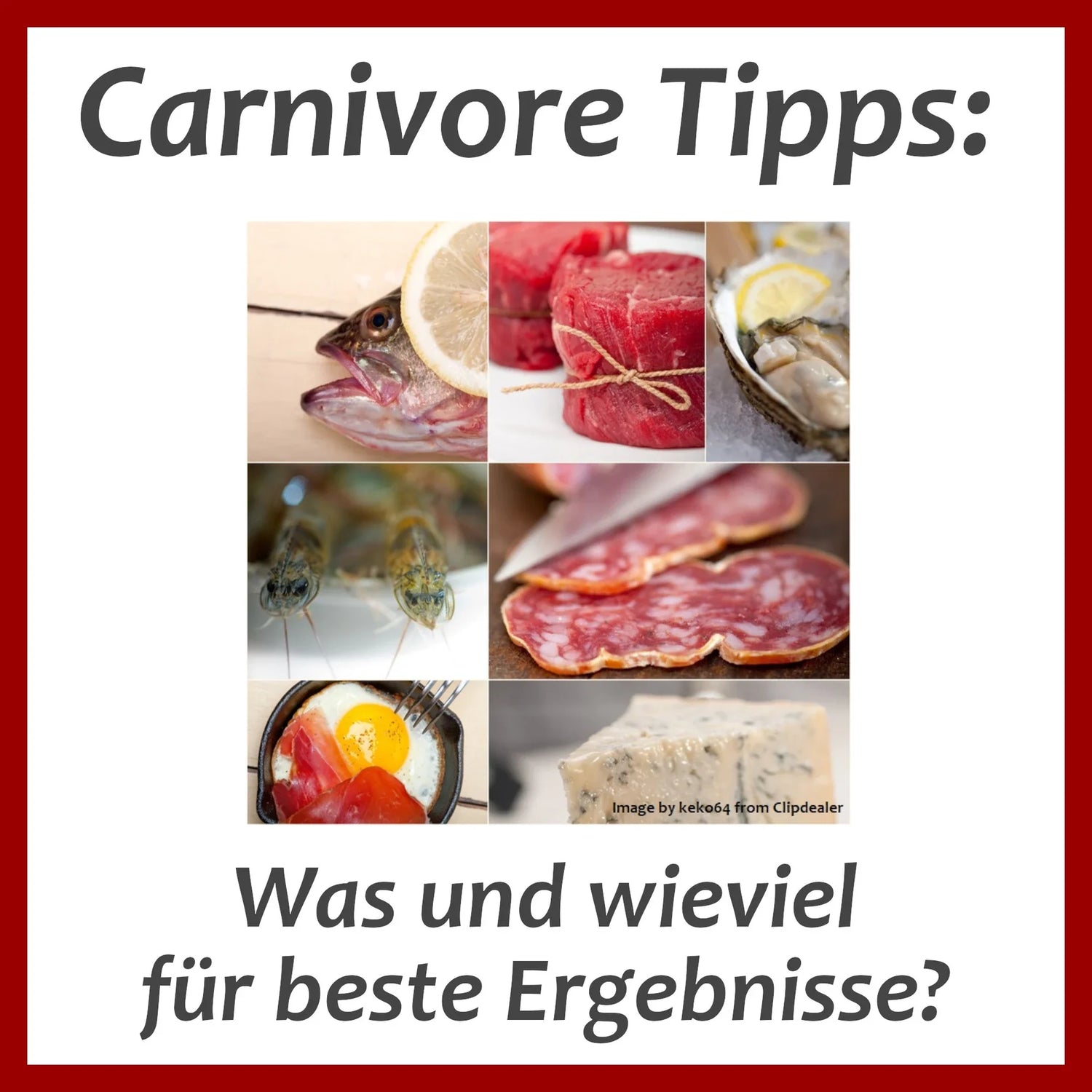 Was und wieviel für beste Ergebnisse?
