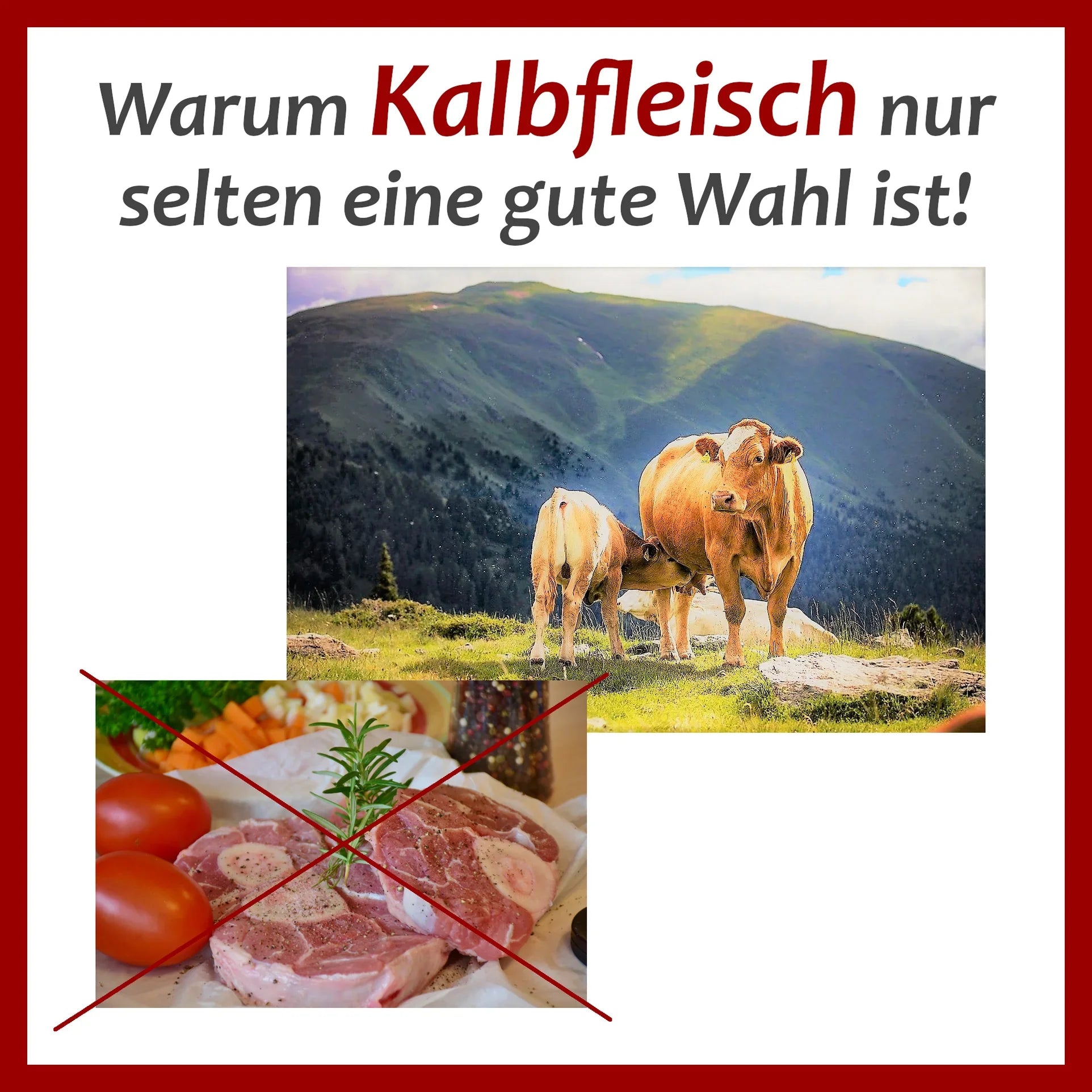 Warum Kalbfleisch nur selten eine gute Wahl ist!