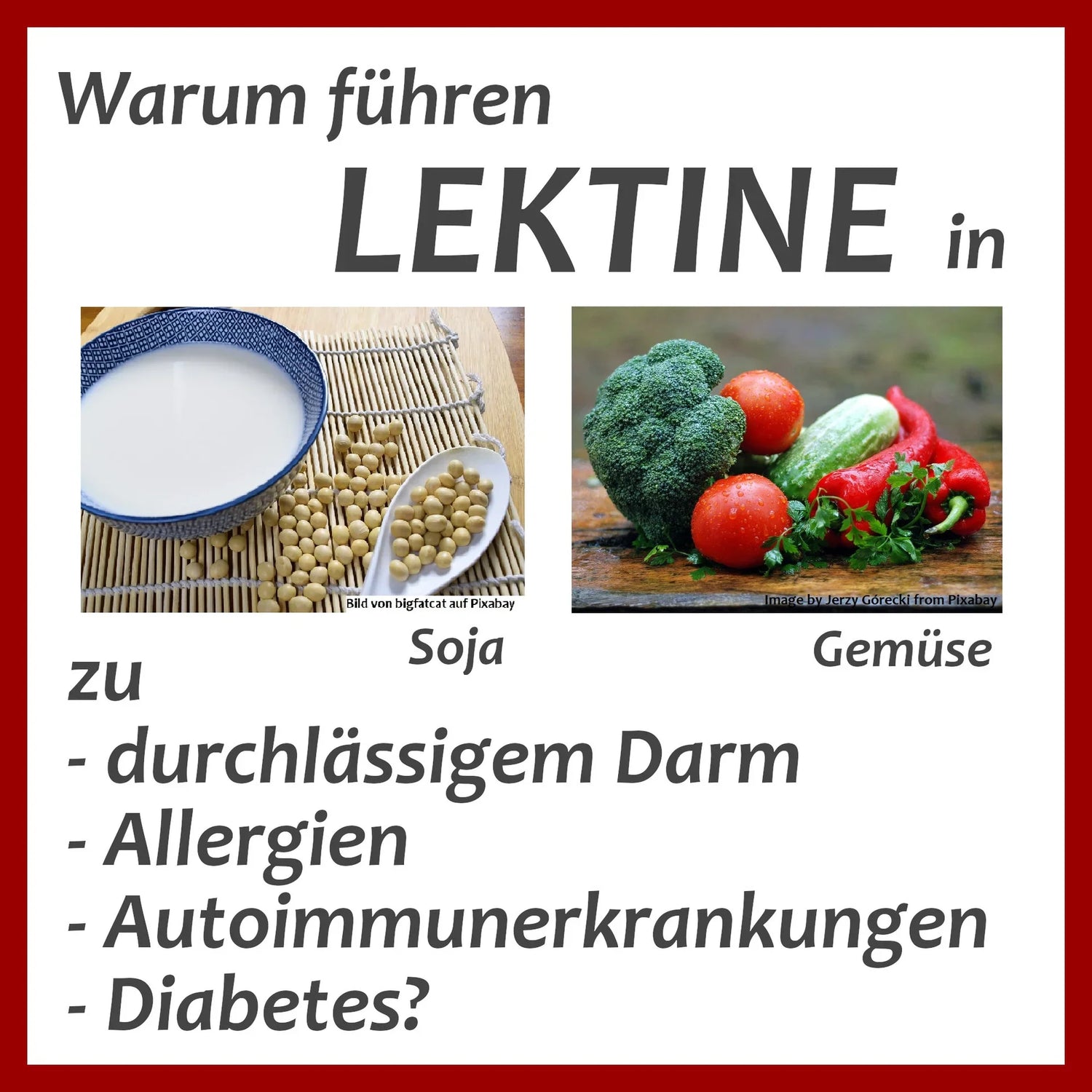 Warum sind Lektine so schlecht?