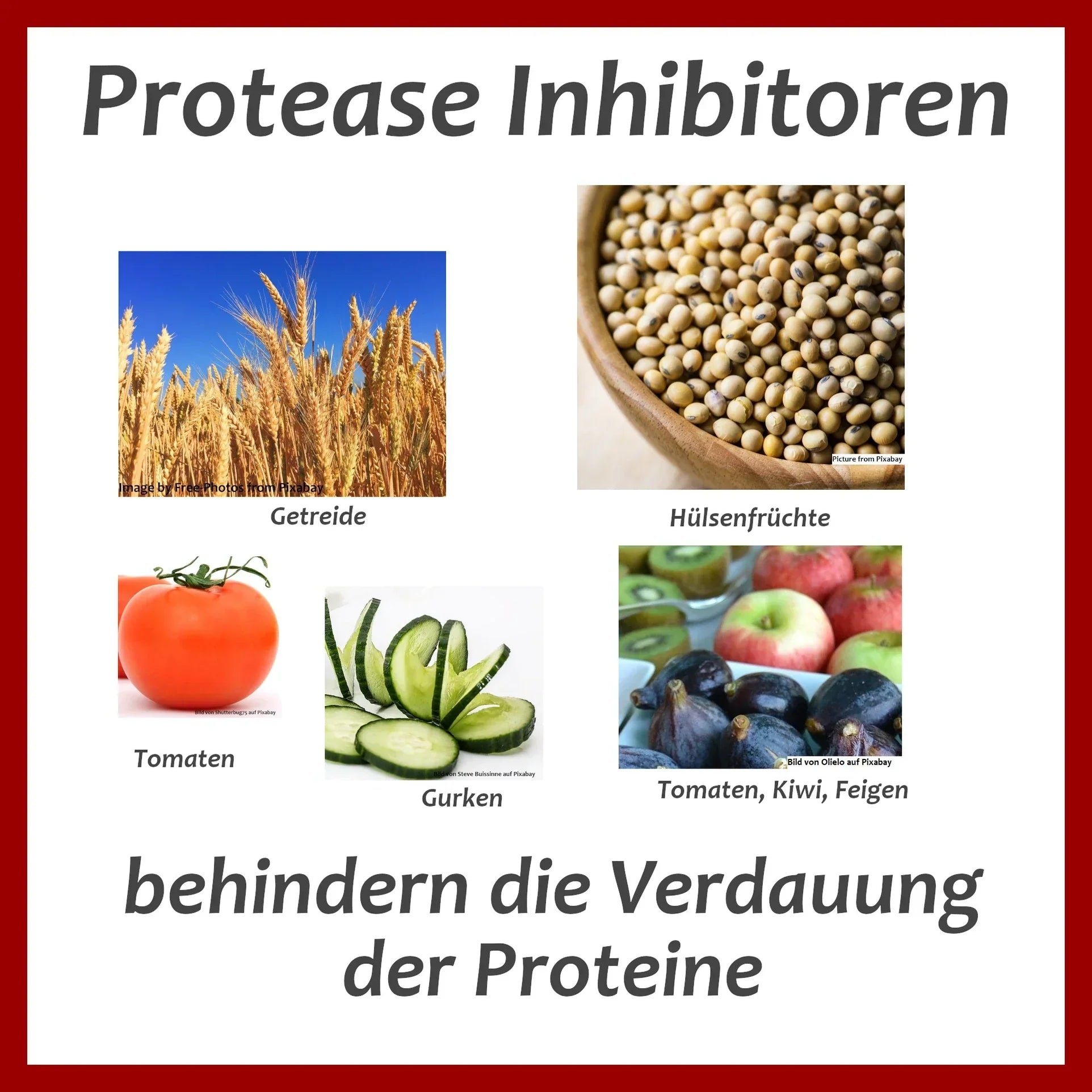 Protease Inhibitoren