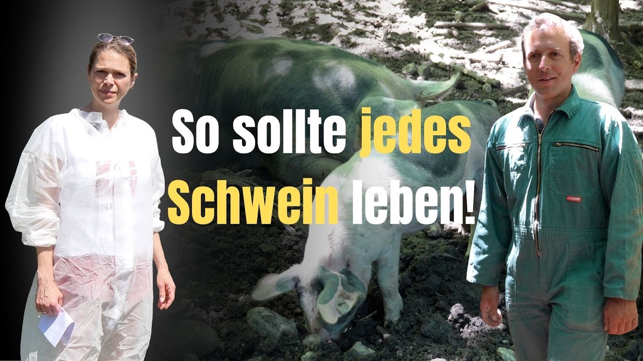 Dr. Rupert Stäblers Waldschweine