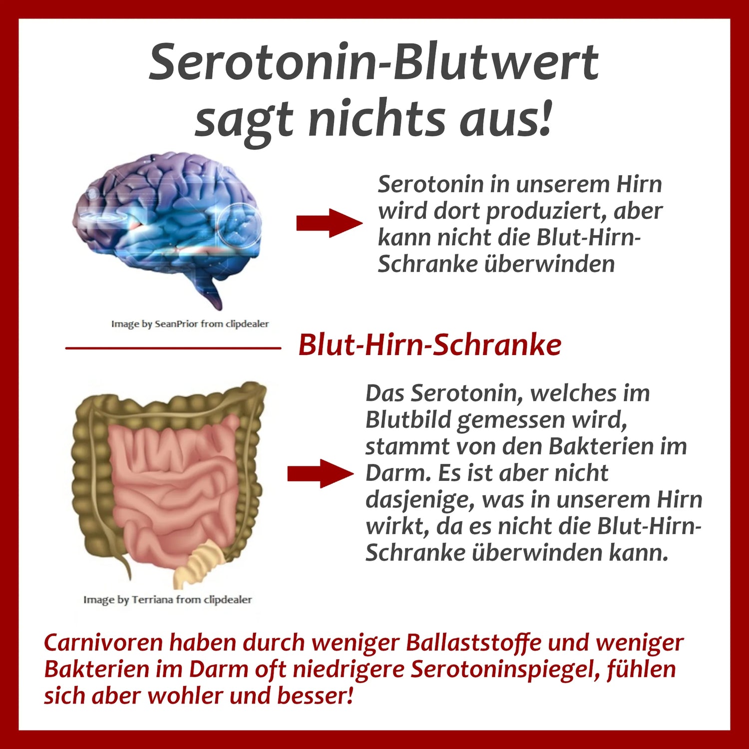 Serotonin-Blutwert sagt nichts aus!