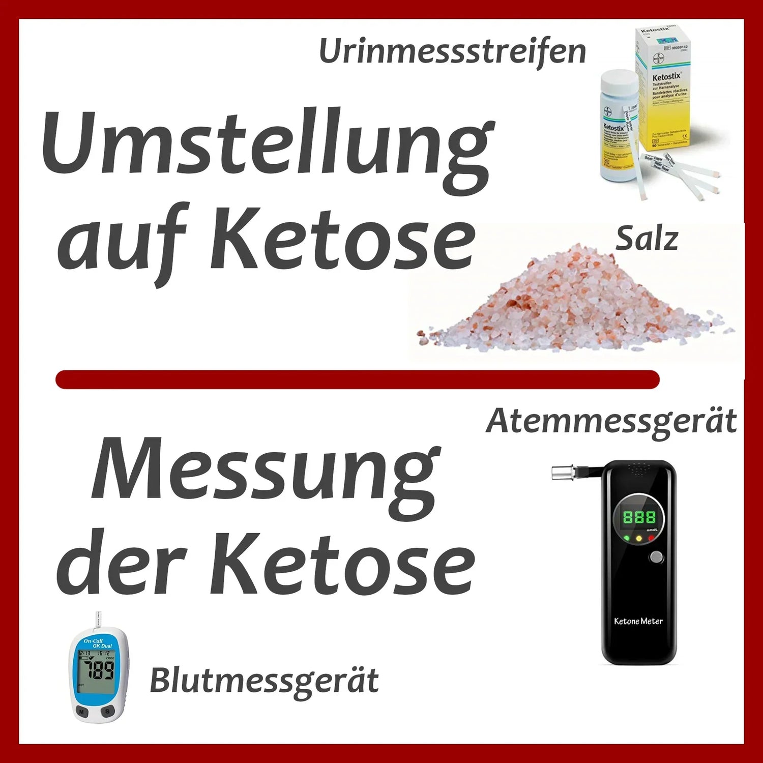 Umstellung auf Ketose & Messung der Ketose