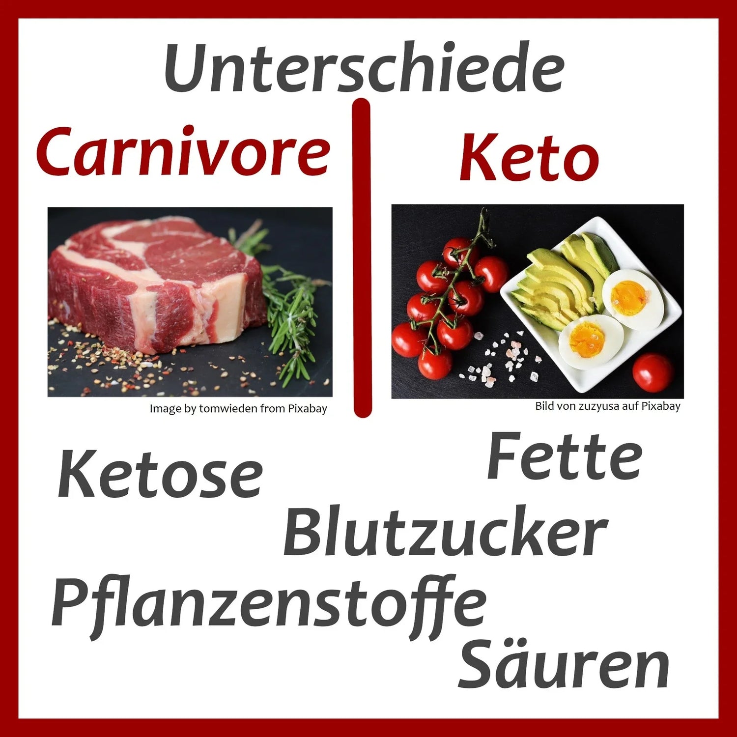 Carnivore und Keto Unterschiede