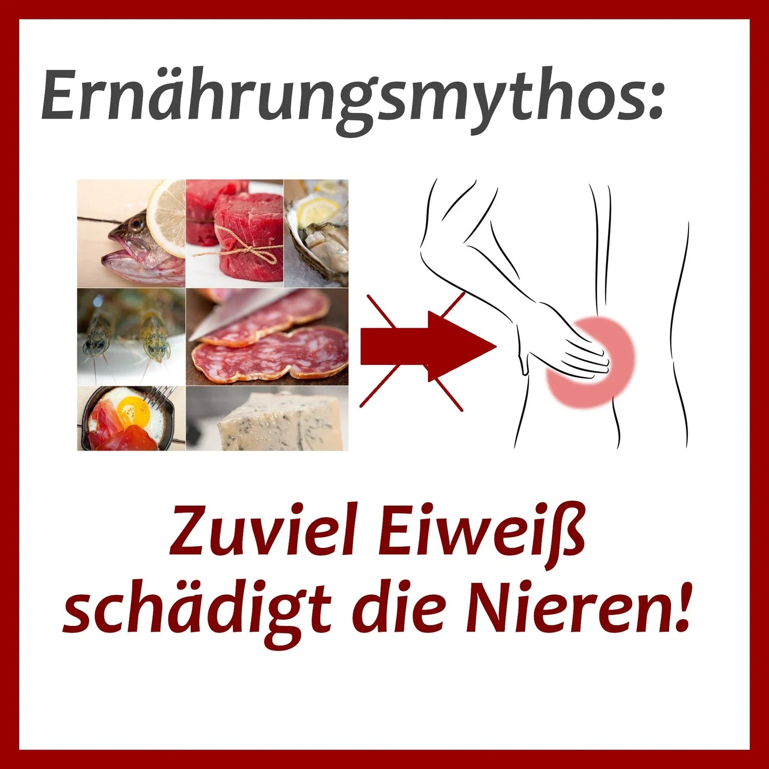 „Zuviel Eiweiß schädigt die Nieren"