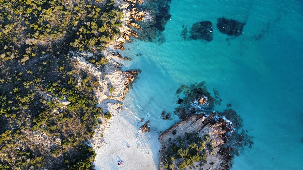 Carnivore & Animal-Based Retreats