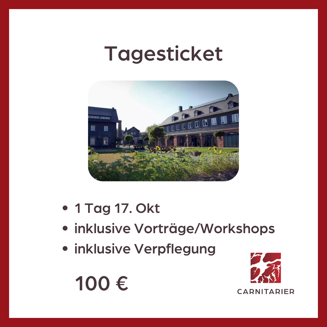 GT Tagesticket