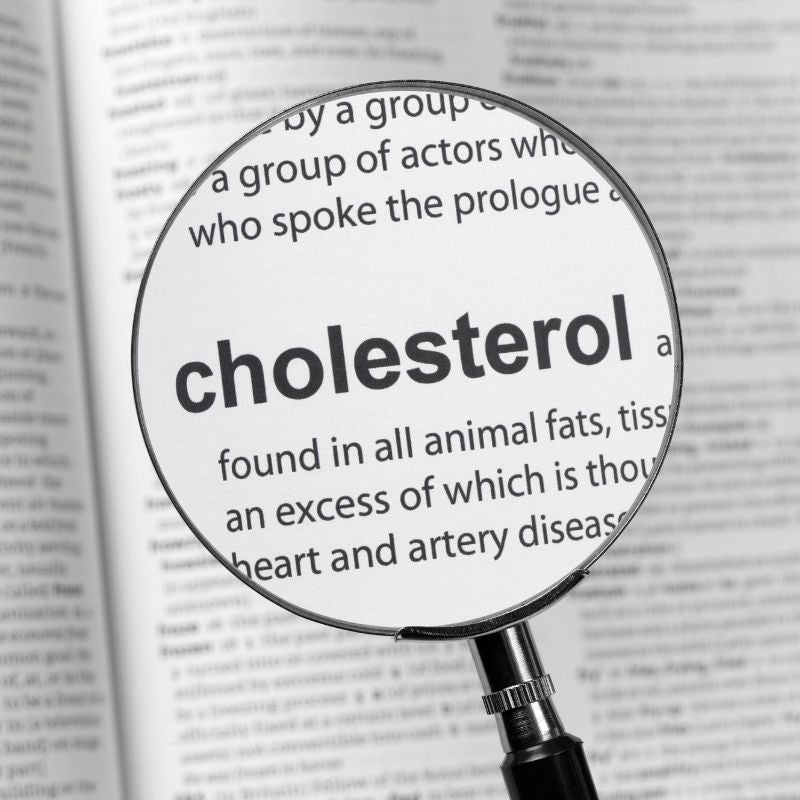 Lupe mit Text cholesterol
